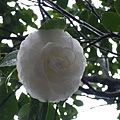 IMGP1356.JPG