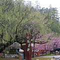 IMGP1362.JPG