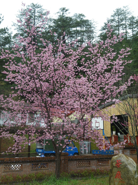 IMGP1364.JPG