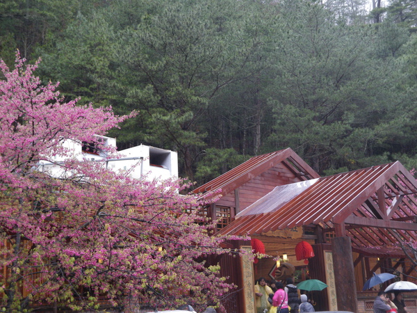 IMGP1368.JPG