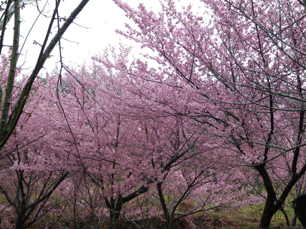IMGP1402.JPG
