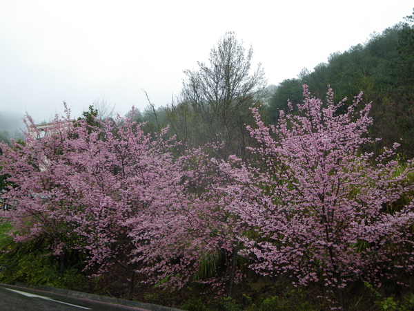 IMGP1426.JPG