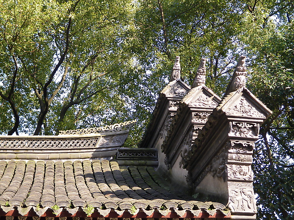 IMGP1894.JPG