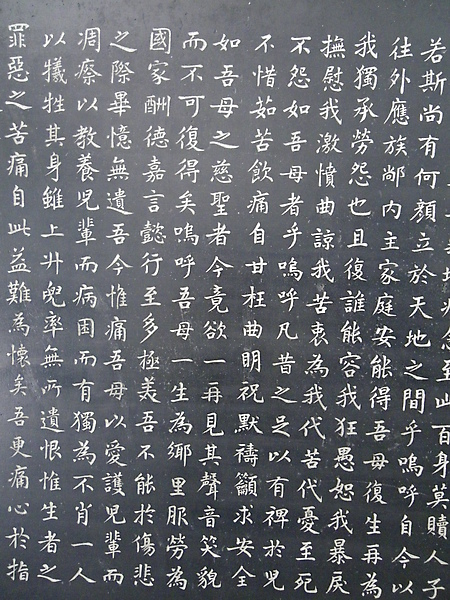 IMGP2143.JPG