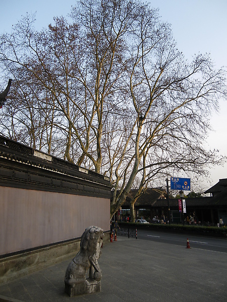 IMGP2362.JPG