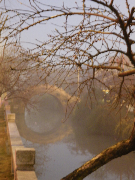 IMGP2941.JPG