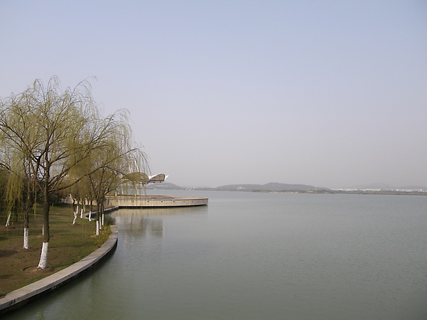 IMGP3271.JPG