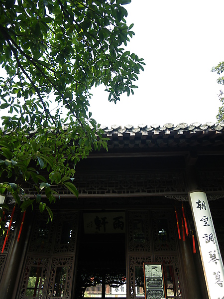 IMGP3344.JPG