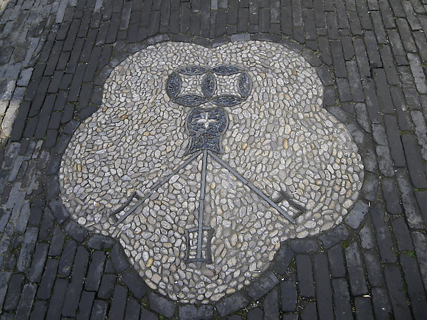 IMGP3388.JPG