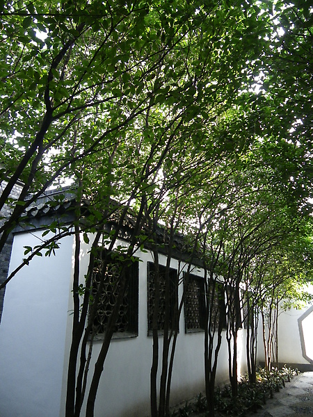 IMGP3391.JPG