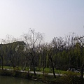 IMGP3495.JPG