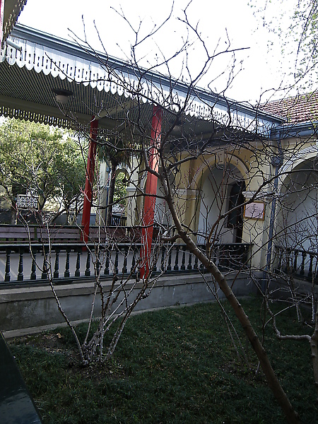 IMGP3703.JPG