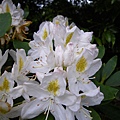IMGP6518.JPG