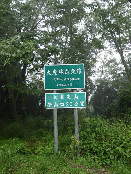 IMGP6541.JPG