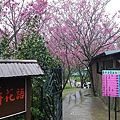 IMGP4928.JPG