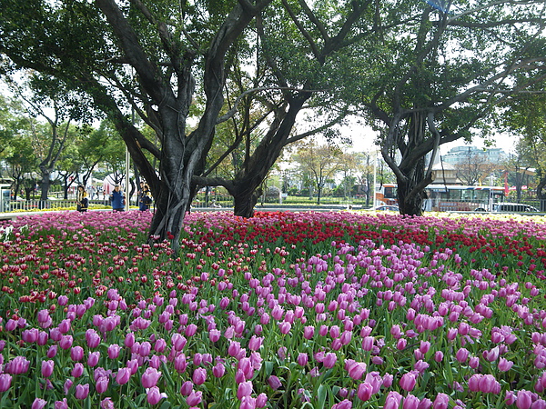 IMGP3816.JPG