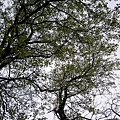 IMGP4809.JPG