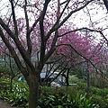 IMGP4922.JPG