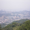 IMGP4595.JPG