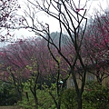 IMGP4876.JPG