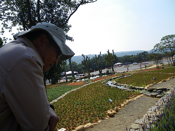 IMGP4211.JPG