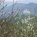 IMGP4632.JPG