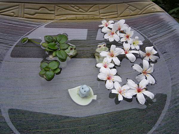 IMGP6191.JPG