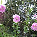 IMGP4716.JPG