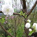 IMGP4734.JPG