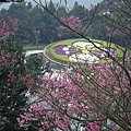 IMGP4850.JPG