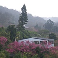 IMGP4877.JPG