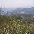 IMGP4620.JPG