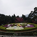 IMGP4855.JPG