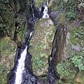 IMGP4869.JPG