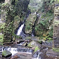 IMGP4867.JPG