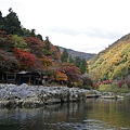 IMGP2257.JPG