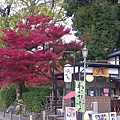 IMGP2221.JPG