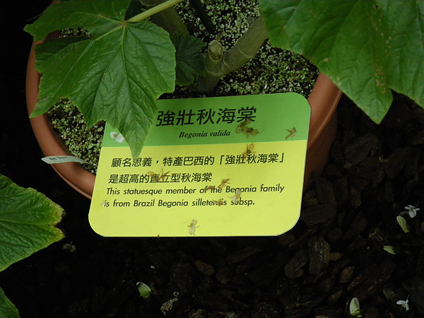 IMGP5197.JPG