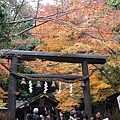 IMGP2351.JPG