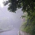 IMGP6495.JPG