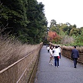 IMGP2309.JPG
