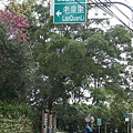 IMGP4598.JPG