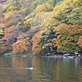IMGP2270.JPG