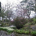 IMGP4841.JPG