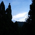 IMGP6485.JPG