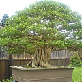 IMGP1569.JPG