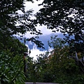IMGP6477.JPG
