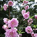 IMGP4718.JPG