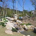 IMGP4005.JPG