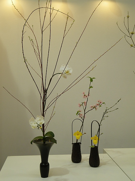 IMGP5334.JPG